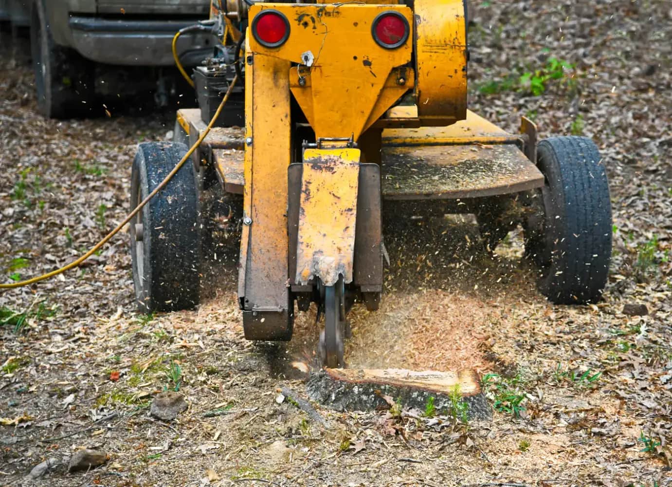 Birmingham Tree Care tree services in Birmingham
