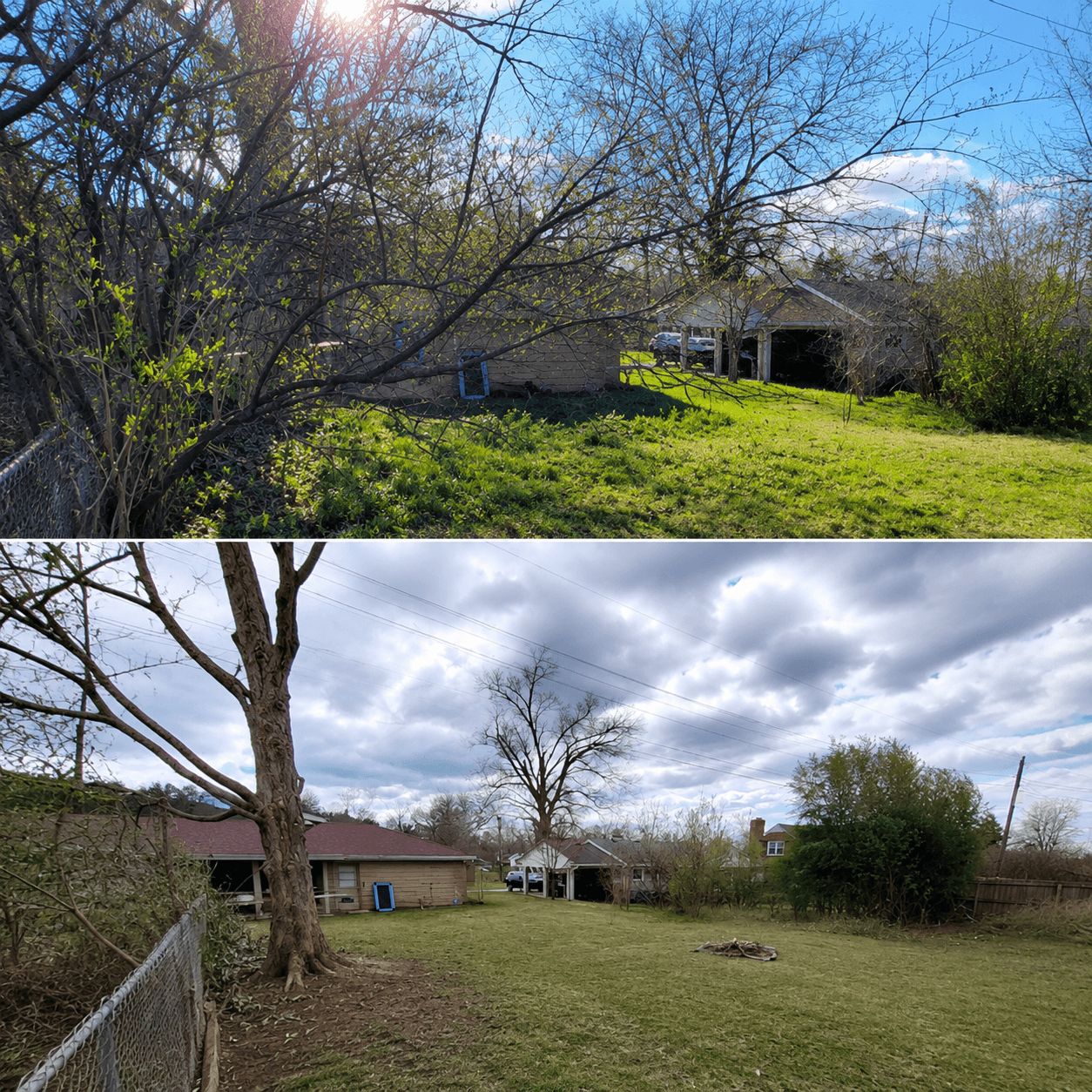 Before and after - Birmingham Tree Care project