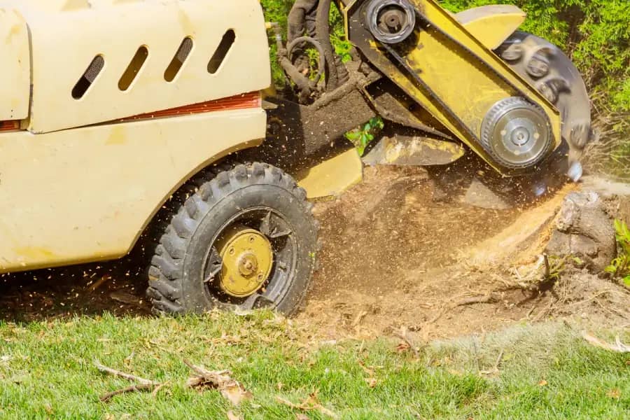Stump Grinding by Birmingham Tree Care in Birmingham